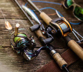 baitcaster or spin reel 600CTS Baitcasting 1 Gear Ratio Baitcaster vs Spinning Reel: Which